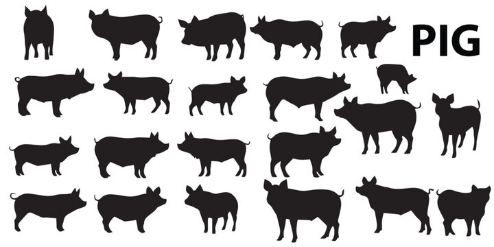A set of silhouette Pig vector Illustration