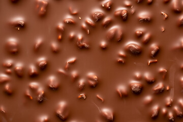 Hazelnut Delight- Discover the Irresistible Combination of Chocolate and Crunchy Roasted Hazelnuts