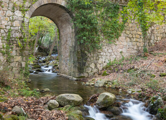 Fototapeta na wymiar A small river whose flow runs under a stone bridge between granite stones, inside a forest. Water stream. Silk water.