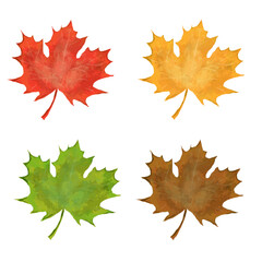maple leaf vector collection