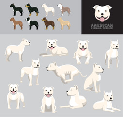 Dog American Pit Bull Terrier Cartoon Vector Illustration Color Variation Set White Coat