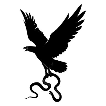 recommend clip art: eagle and snake silhouette vector