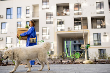 Woman carrying cardboard boxes, walking with her dog to apartment at yard of new apartment...