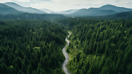 Foggy drone photo from DJI Mini Pro 3 , taken in Willamette National Forest Oregon 