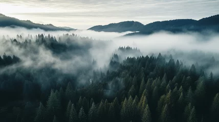 Fotobehang Mistige ochtendstond Foggy drone photo from DJI Mini Pro 3 , taken in Willamette National Forest Oregon 