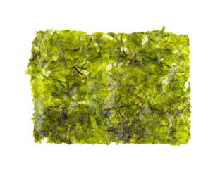fried seaweed on transparent png