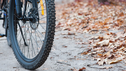 front wheel of a mountain bike. Mountain bike. stands on a forest road. concept of cycling, repair...