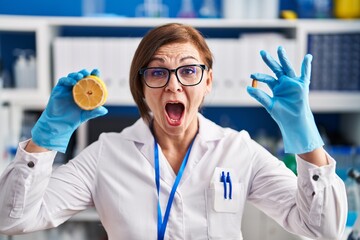 Middle age hispanic woman working at scientist laboratory making vitamin celebrating crazy and amazed for success with open eyes screaming excited.