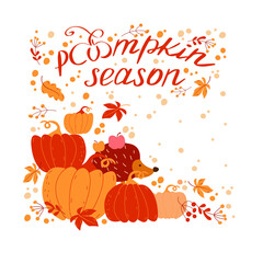 Pumpkin Season. Autumn pumpkin season card with lettering, pumpkins and hedgehog.