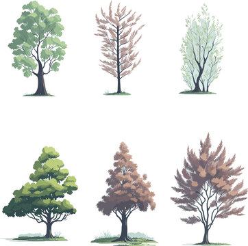 Minimal style tree painting hand drawn. Spring tree watercolor vector illustration. Set of graphics trees elements drawing for architecture and landscape design.