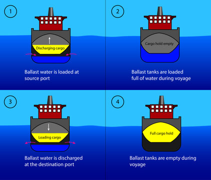 Diagram of the cargo ship's ballast tanks, how it works