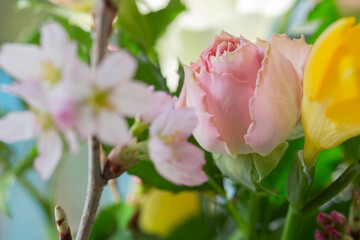 Spring flowers