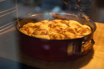 Homemade apple pie. Home Cooking