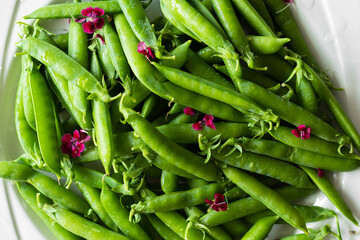 Fresh green peas on a wooden background. Summer crop of peas.