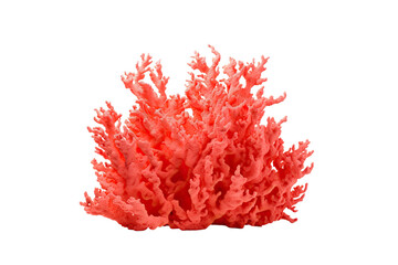 Fire coral on transparent background (PNG)., generative artificial intelligence
