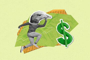 Photo collage picture of funky duck head guy running earning cash isolated creative green color...