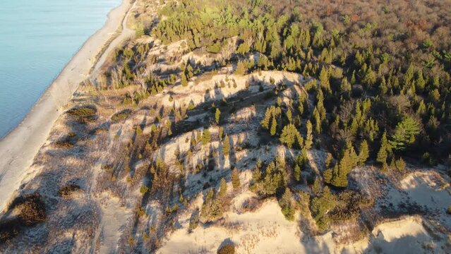 Aerial of ocean beach shore and pine tree covered dunes, evening light