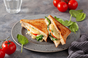 grilled cheese spinach and tomato sandwich on concrete background