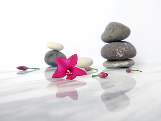 Fototapeta na wymiar Pebbles with tropical flowers. Template for spa salon, cosmetic, massage or advertising
