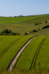 Looking out over a rolling Sussex farm landscape on a sunny day in June