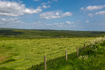 Fototapeta na wymiar Fields in the South Downs in Sussex on a sunny May day