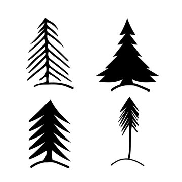 Doodle fir tree drawing. White and black. Vector illustration.