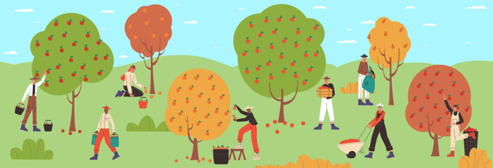 Group harvesting process. Cartoon farmers picking fruits from garden trees. Men and women collecting apple harvest in orchard. Agricultural workers. Natural food cultivation. Vector concept