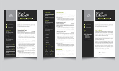 Professional Curriculum Vitae Layout, Resume Template, And Cover Letter Dark Gray
