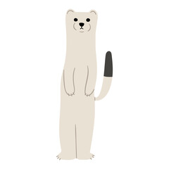 Stoats,Ermine Single 36 PNG