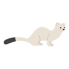 Stoats,Ermine Single 16 PNG
