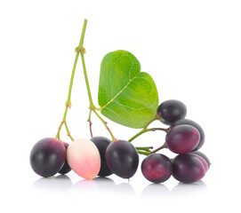 bengal-currants, carandas-plum, on a white background