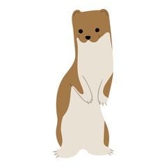 Stoats,Ermine Single 13 PNG