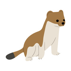 Stoats,Ermine Single 19 PNG