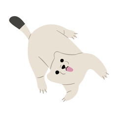 Stoats,Ermine Single 34 PNG