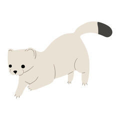 Stoats,Ermine Single 35 PNG