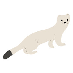 Stoats,Ermine Single 22 PNG