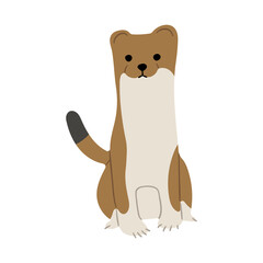 Stoats,Ermine Single 20 PNG
