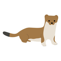Stoats,Ermine Single 31 PNG