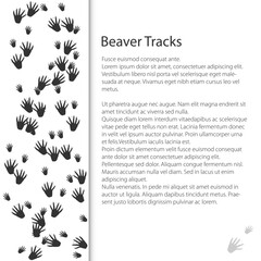 Cover design with traces of forest animal, European beaver mammal footprint, vector illustration - obrazy, fototapety, plakaty