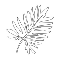 Tropical leaves of philodendron. Hand drawn with a solid line. Line art. Black outline. Vector isolated on white background. Botanical element for your design.