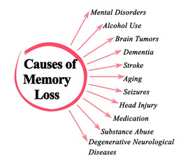 Eleven Causes of Memory Loss