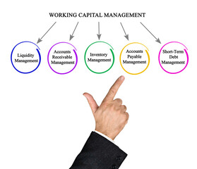 Five Components of Working Capital Management