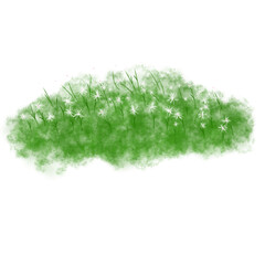 green grass isolated on white