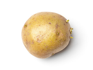 Fresh potato on white
