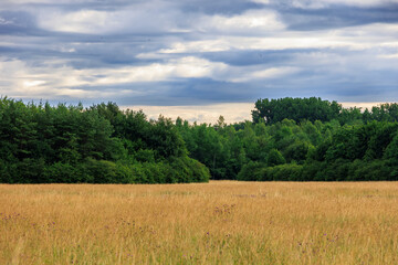 Obraz premium View over the orchard meadows to the edge of the forest in Siebenbrunn near Augsburg on a cloudy day