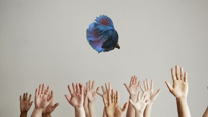 The idea of aspirations and goals. The concept of concentrating the common interest of a group of people. Fish over human hands that stretch up