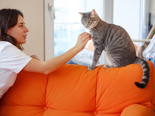 Young woman is playing with her gray cat on orange sofa at home. friendship love for pets concept, cat with complex character, unkind and wild