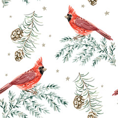 Christmas seamless pattern, cardinal birds, green twigs, cones, white background. Vector illustration. Nature design. Season greeting. Winter Xmas holidays