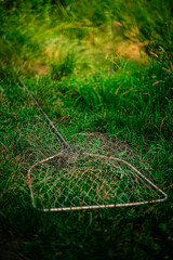net on the grass