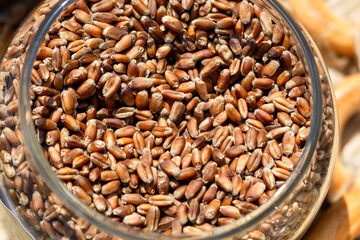 Wheat grain as background texture